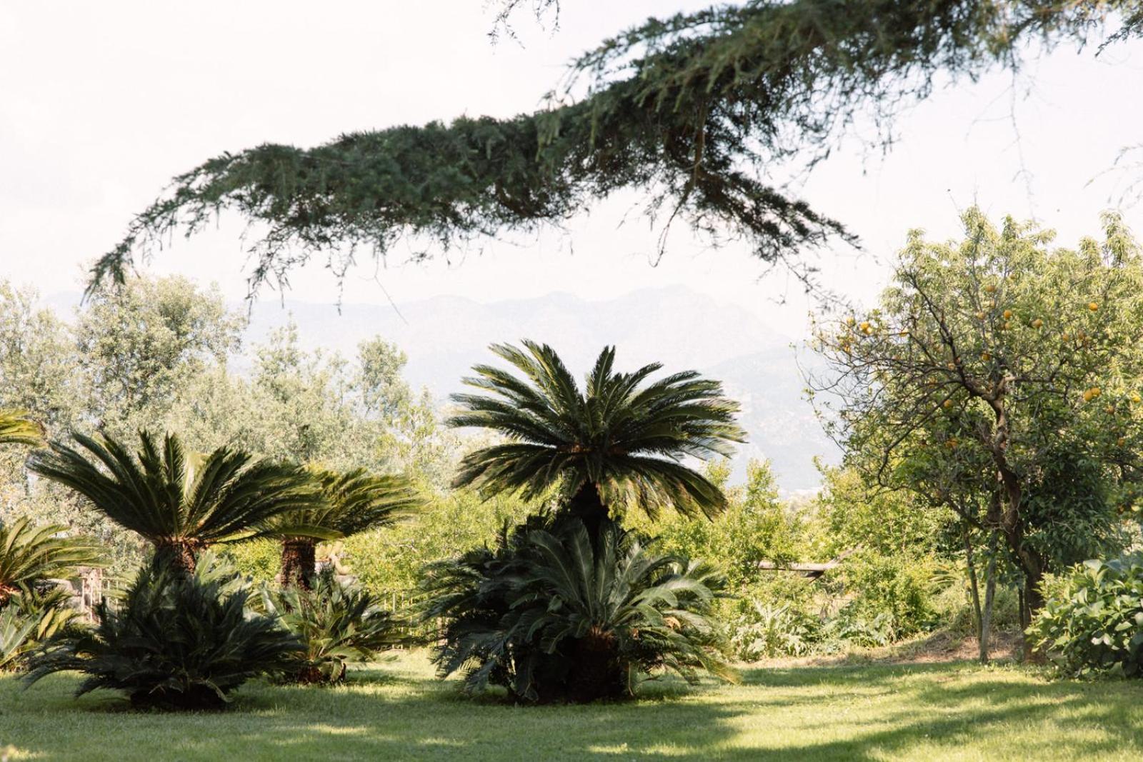 Capo Santa Fortunata Sorrente Extérieur photo
